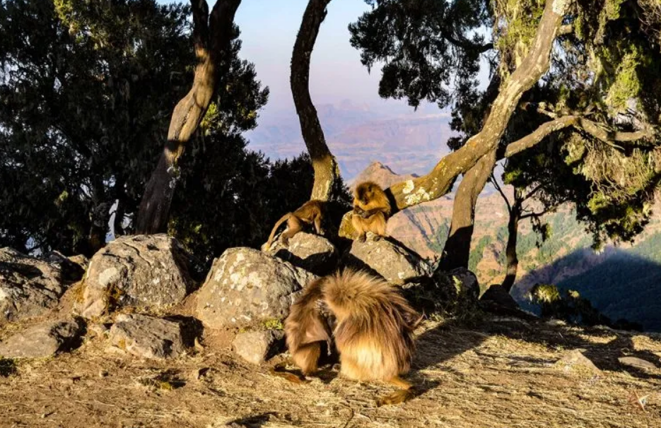 Screenshot (44444.png